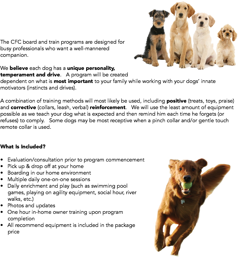 ﷯The CFC board and train programs are designed for busy professionals who want a well-mannered companion. We believe each dog has a unique personality, temperament and drive. A program will be created dependent on what is most important to your family while working with your dogs’ innate motivators (instincts and drives). A combination of training methods will most likely be used, including positive (treats, toys, praise) and corrective (collars, leash, verbal) reinforcement. We will use the least amount of equipment possible as we teach your dog what is expected and then remind him each time he forgets (or refuses) to comply. Some dogs may be most receptive when a pinch collar and/or gentle touch remote collar is used. What Is Included? • Evaluation/consultation prior to program commencement﷯ • Pick up & drop off at your home • Boarding in our home environment • Multiple daily one-on-one sessions • Daily enrichment and play (such as swimming pool games, playing on agility equipment, social hour, river walks, etc.) • Photos and updates • One hour in-home owner training upon program completion • All recommend equipment is included in the package price 
