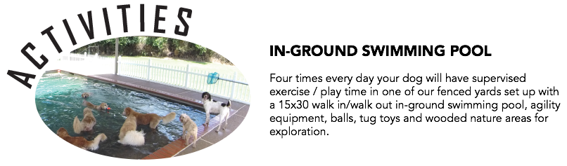 ﷯IN-GROUND SWIMMING POOL Four times every day your dog will have supervised exercise / play time in one of our fenced yards set up with a 15x30 walk in/walk out in-ground swimming pool, agility equipment, balls, tug toys and wooded nature areas for exploration.